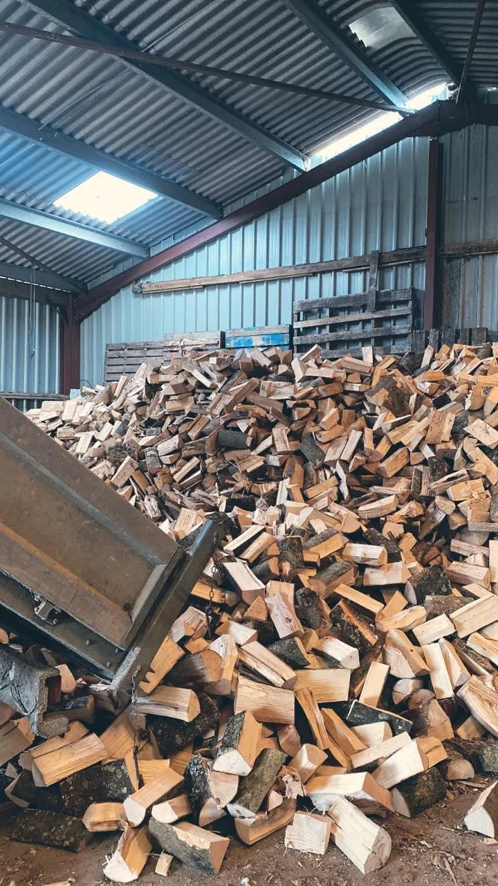 A mountain of freshly split hardwood inside the barn