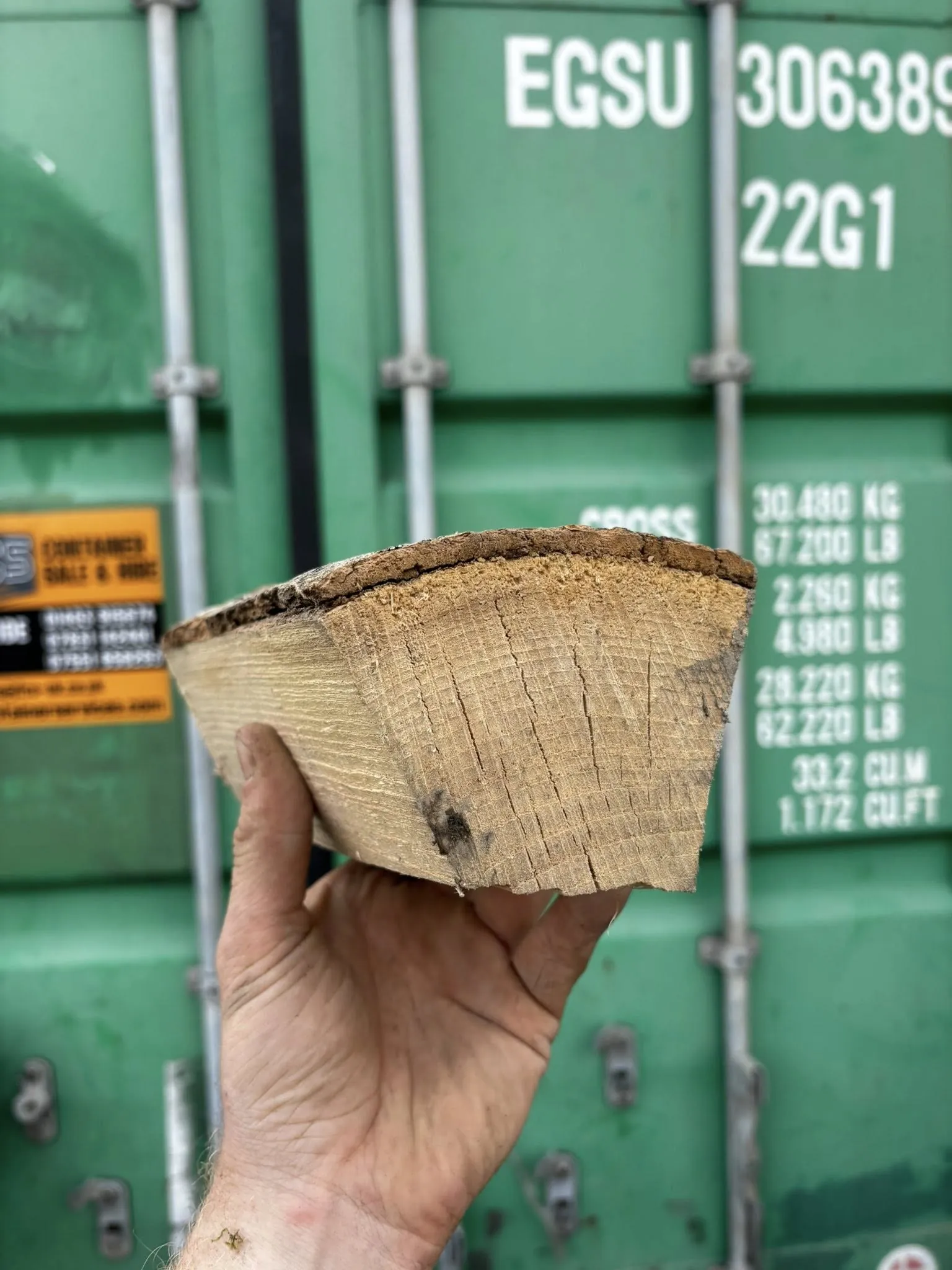A hand holding a split log showing the grain rings