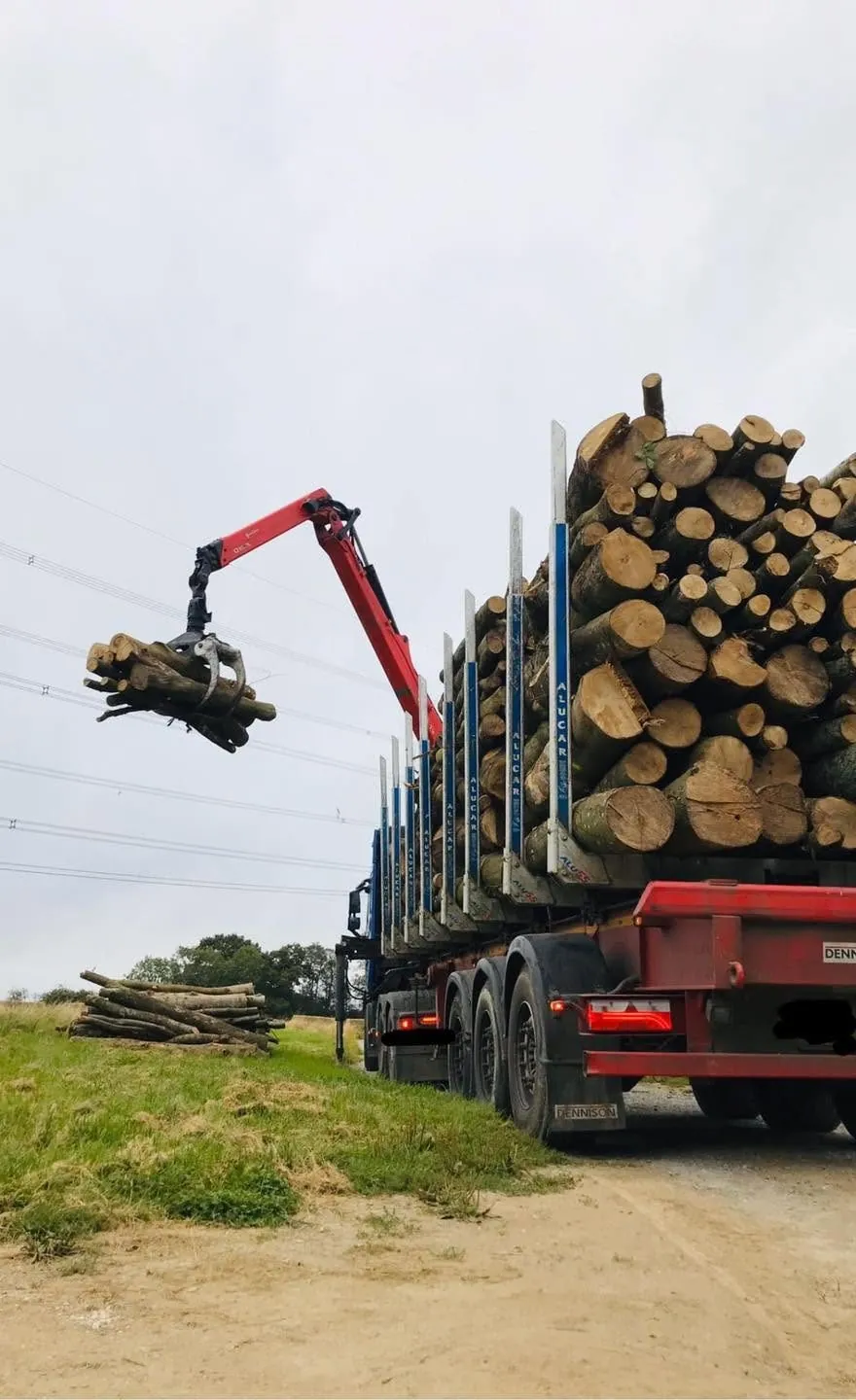 A crane grab holds a bundle of logs beside a loaded timber lorry.