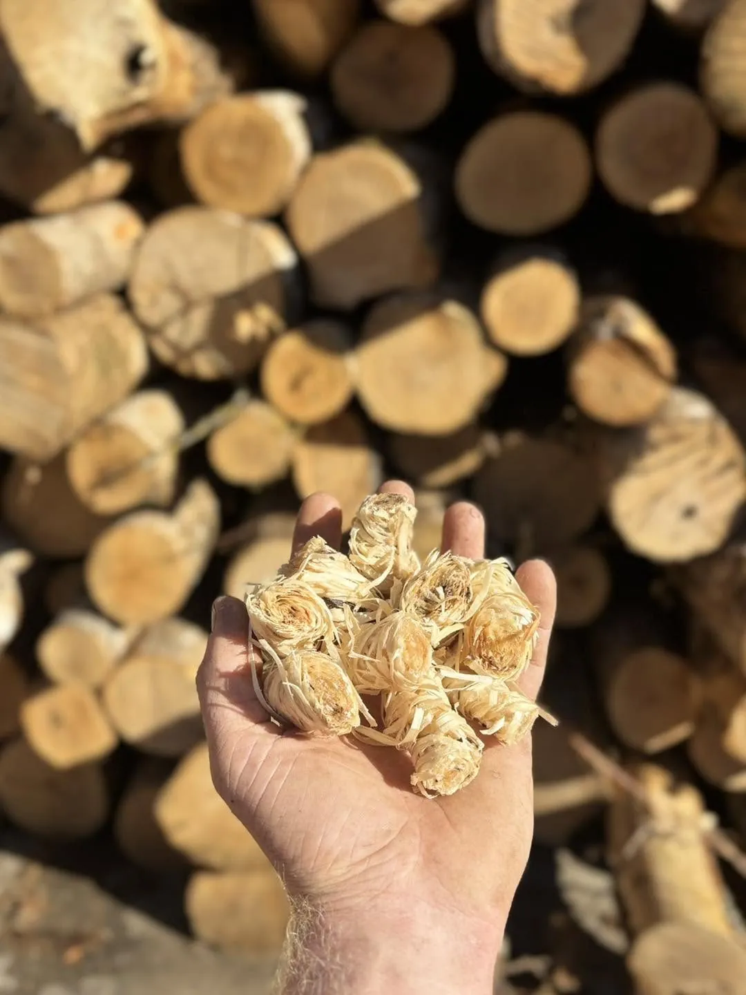A handful of wood wool firelighters, with stacked logs behind.