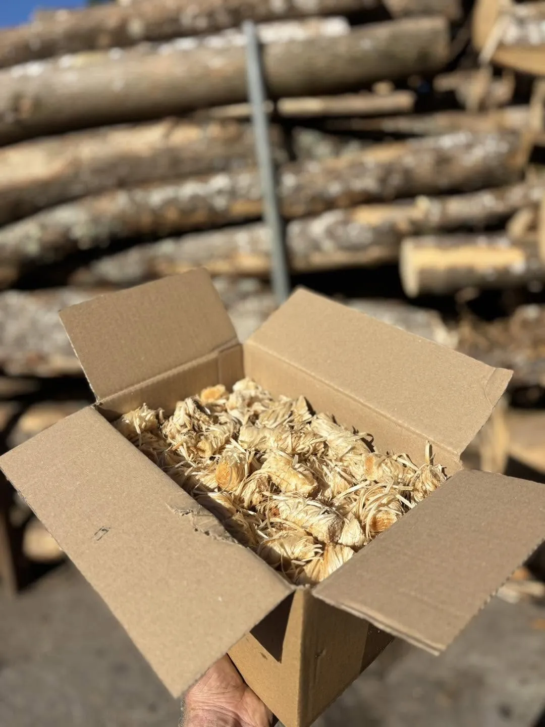 An open box of curled wood wool firelighters, with logs behind.